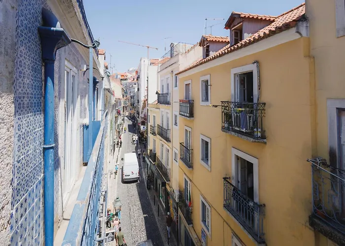 Akicity Mouraria Foliage *